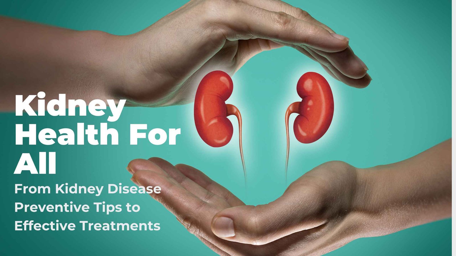 Kidney health consultation