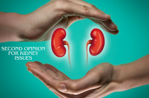 Second Opinion for Kidney Issues