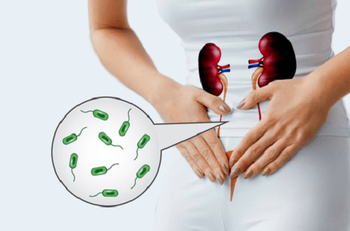 Urinary Tract Infection